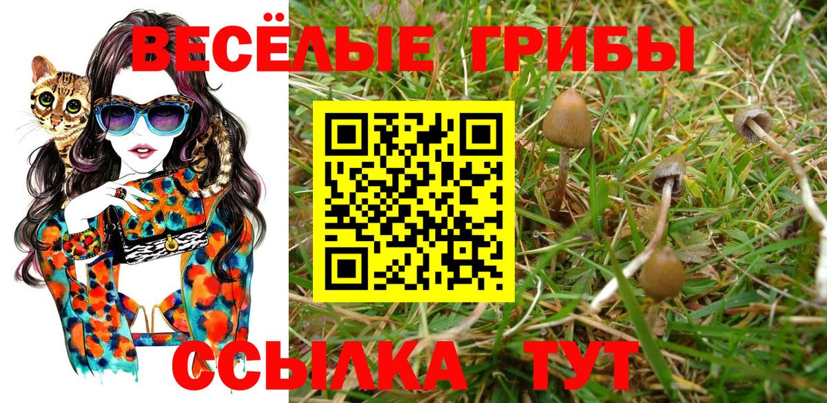 Псилоцибиновые грибы прущие грибы Кимовск