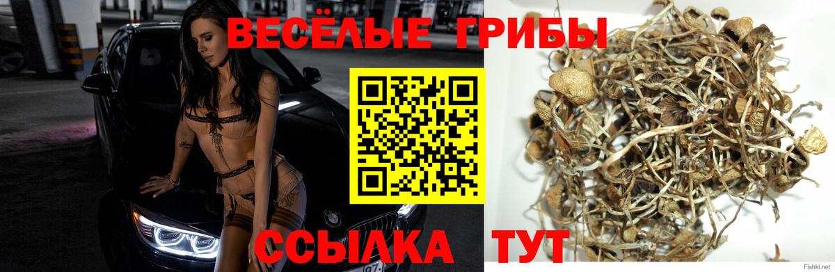 Псилоцибиновые грибы Psilocybine cubensis  Вход с VPN  Галлюциногенные грибы ЛСД  Кимовск 